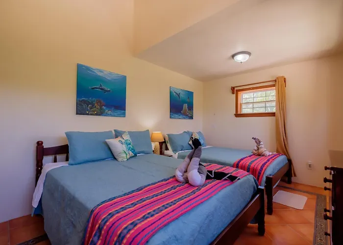 Diamond Reef 2b Apartamento *